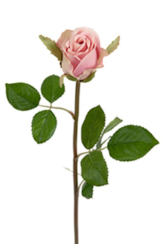 Rose stilk lys rosa 50cm 