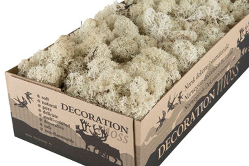 Mose Natur 500 gr