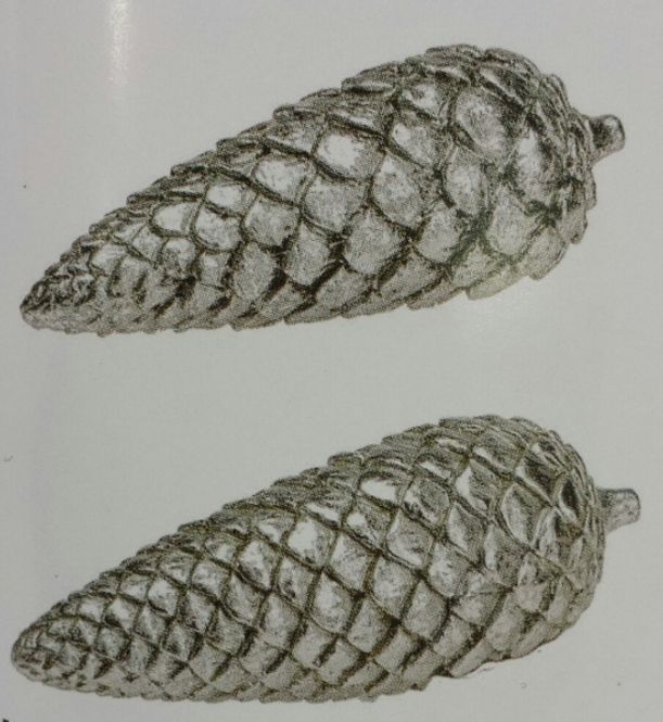 Hovedbilde Kongle 15cm liten