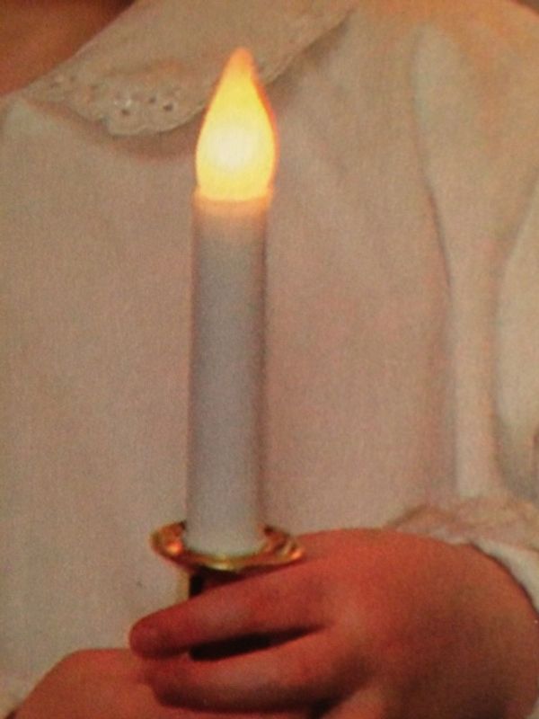 Lucia ternlys gull