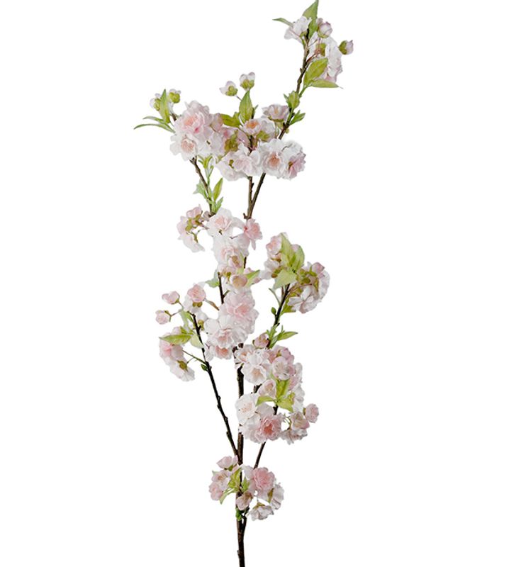 Kirsebærblomst Stilk H 120 cm