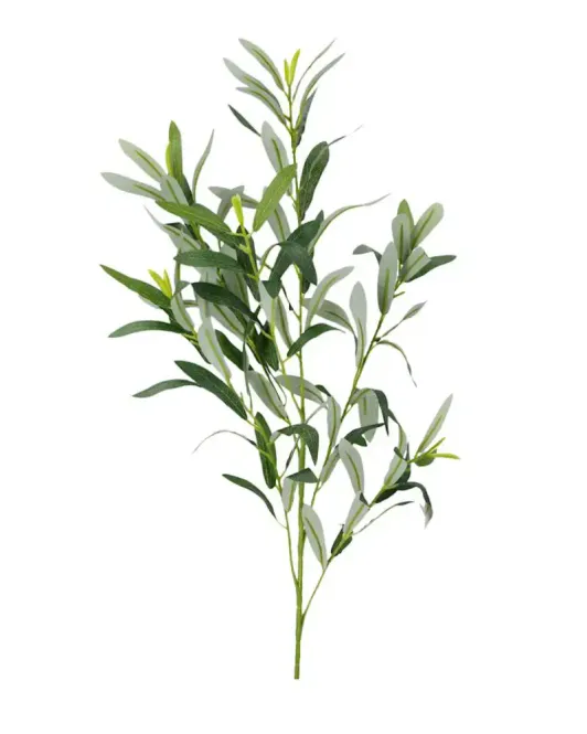 Hovedbilde Oliven kvist H 61 cm