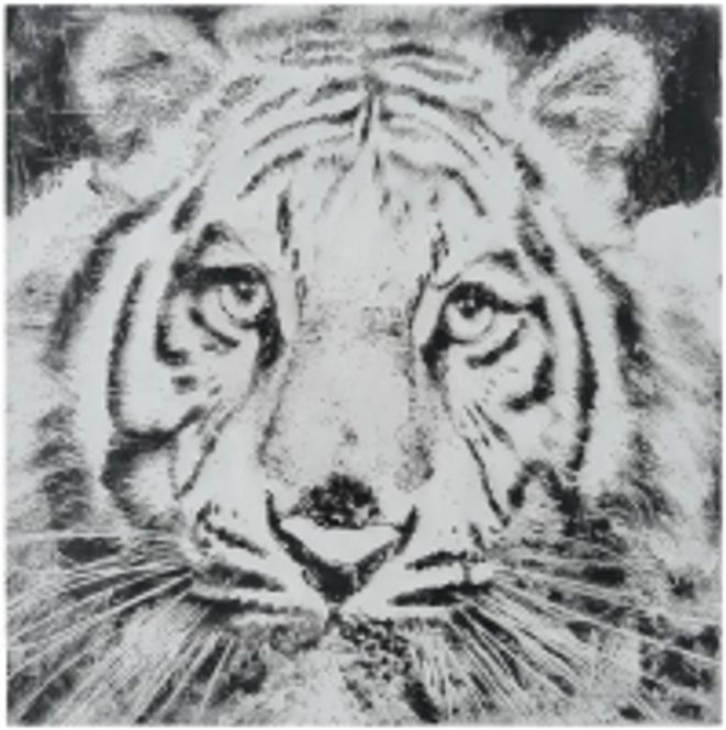 Hovedbilde Leretsbilde Tiger 100x100