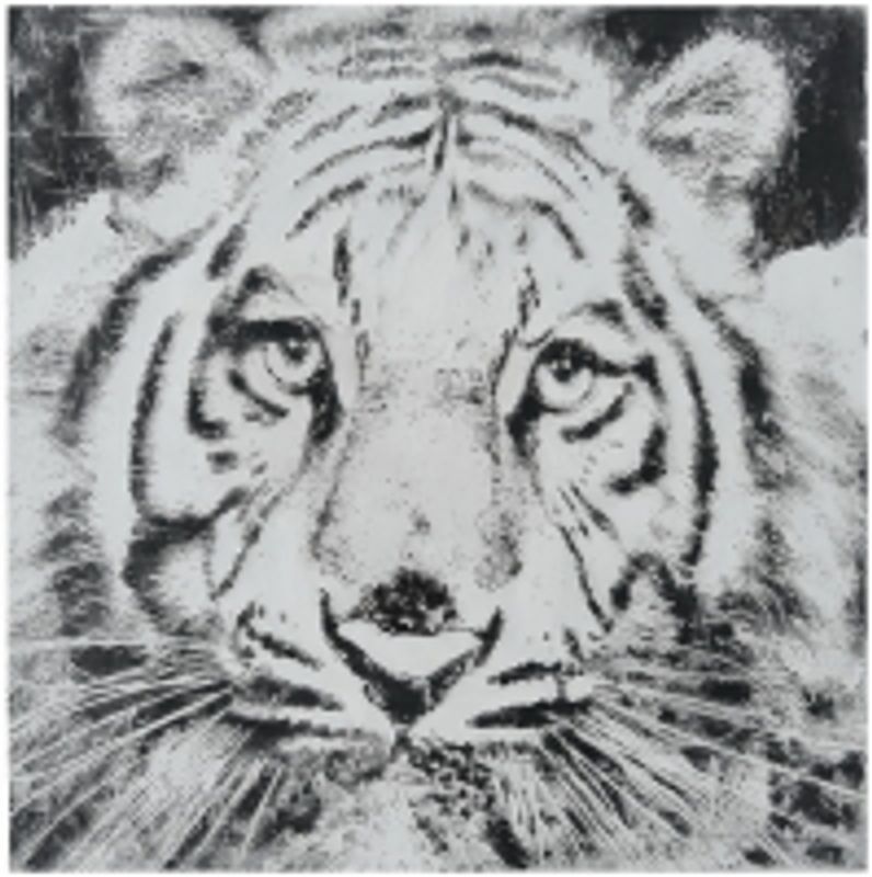 Leretsbilde Tiger 100x100