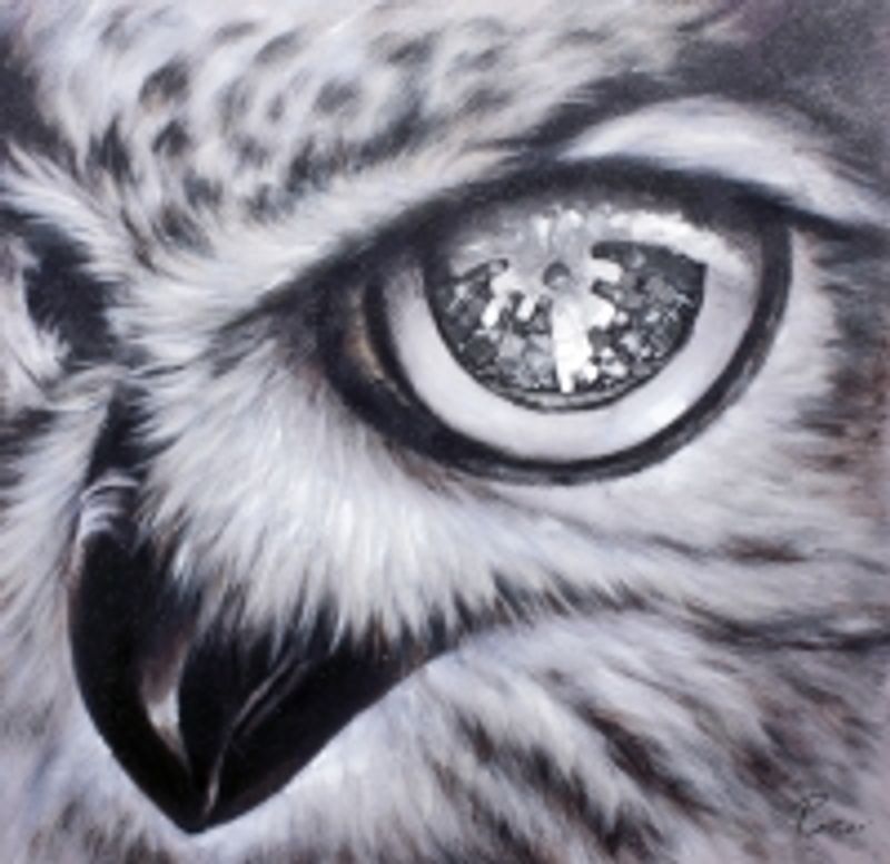 Leretsbilde Ugle 60x60