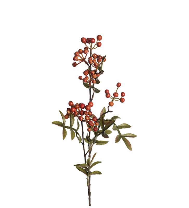 Rognebær/stilk H 70 cm