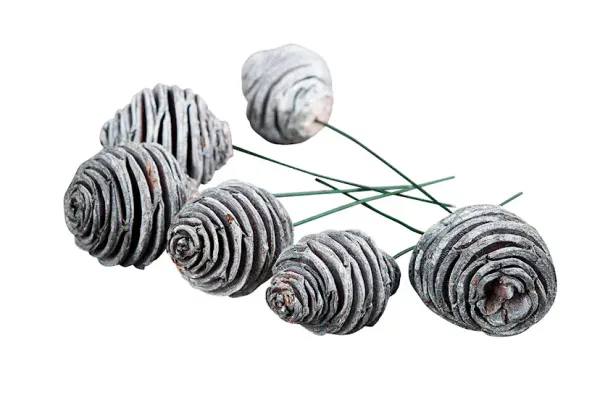 Kongle på stikk hvitvasket  H 4 cm