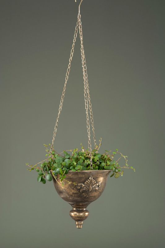 Ampel Baron g brun 23x19,5 cm