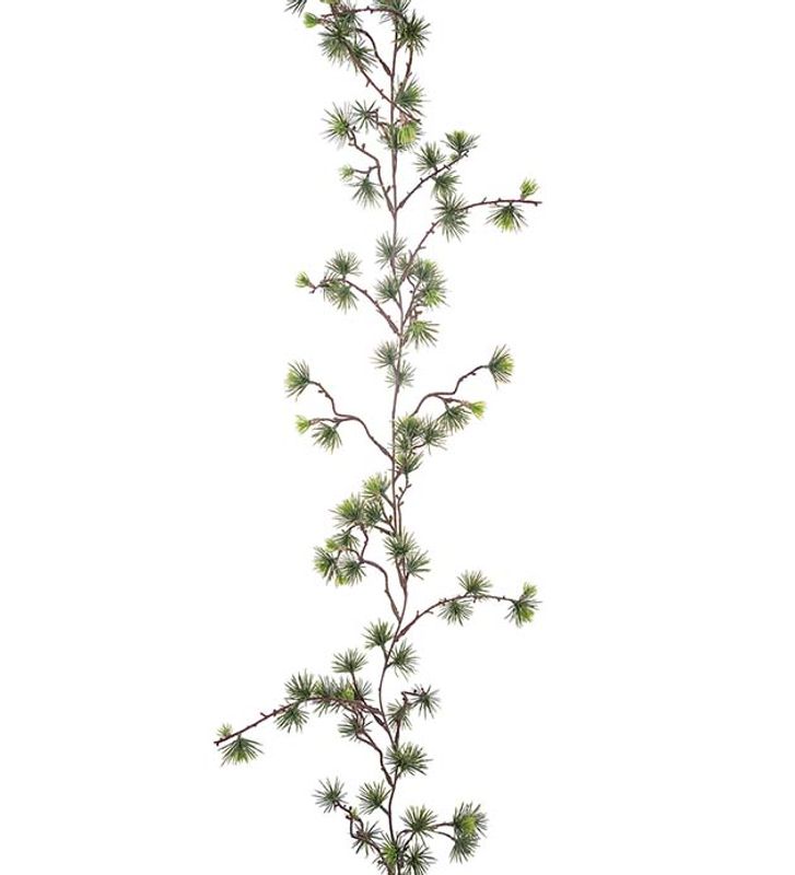 Lærk gilander L 170 cm
