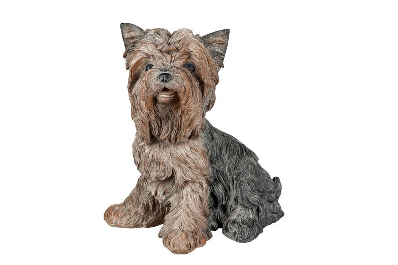 Hund Yorkshire 21x23 cm Poly