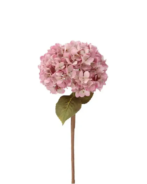 Hortensia på stilk Rosa 20x20x84 cm